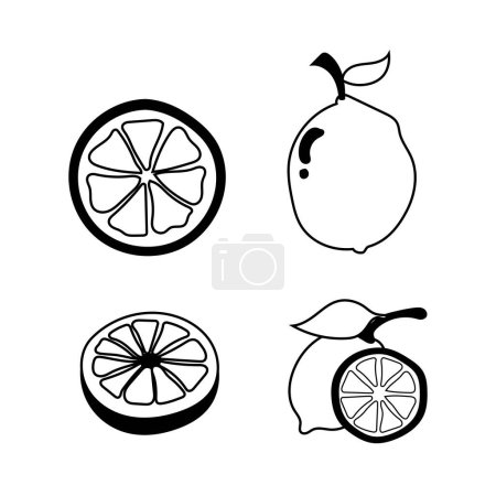 Illustration for Cute Lemon Vector Lineart - Monochrome Citrus Illustration - Royalty Free Image