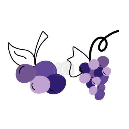 Illustration for Adorable Grapes Illustrations | Cute Hand Drawings | For Creative Projects | Minimalist Design - Royalty Free Image