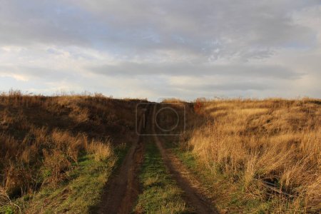 Photo for Beautiful landscape with a path in the forest - Royalty Free Image