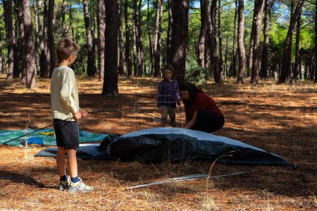 Photo for Family of a mother and two children pitching a tent in the forest - Royalty Free Image
