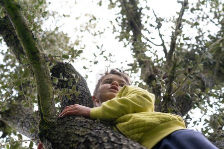 Junge klettert auf einen hohen Baum und betrachtet die Aussicht