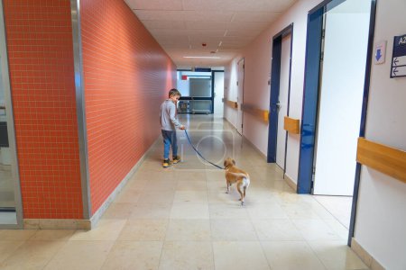 Téléchargez les photos : Garçon avec son chien va rendre visite à un patient dans un hôpital - en image libre de droit