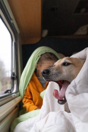 perro bostezando con el niño en la cama de una autocaravana en invierno