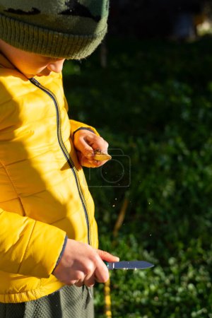 Photo for Boy sharpening a stick with a knife in nature - Royalty Free Image