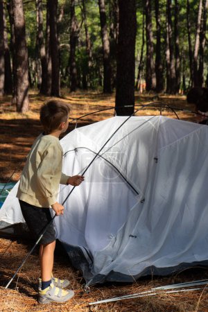 Boy pitching a tent in the woods