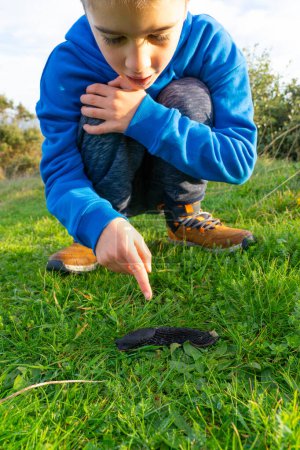Boy pointing at a big slug in nature