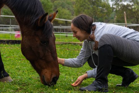 Woman stroking and feeding a brown horse
