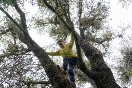 Kaukasischer Junge klettert auf einen Baum. Spielen in der Natur