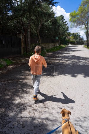 Boy and dog walking down the street