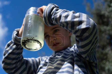 Boy looking at a glass jar with tadpoles in water inside