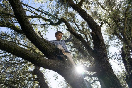 Téléchargez les photos : 8 ans garçon caucasien escalade un arbre - en image libre de droit
