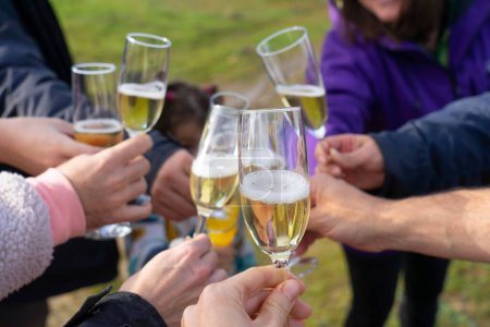 People toasting with champagne outdoors
