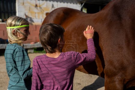 Kinder, die ein Pferd auf einer Reitanlage pflegen