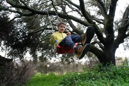 Boy riding on a tree swing