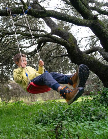Junge reitet Schaukel von einem großen Baum
