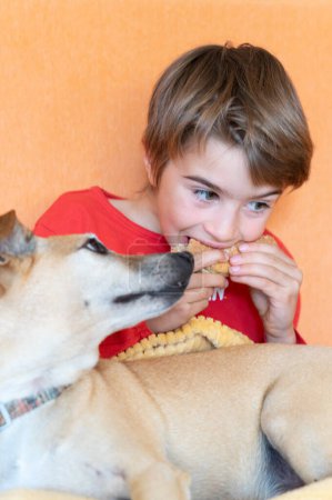 Boy eating bread while his dog watches him