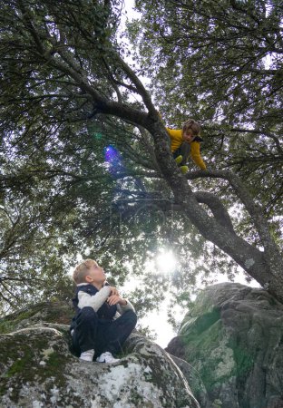 Kinder spielen in einem Baum. Ein Kind auf einem Baum und ein anderes, das ihn von unten betrachtet. Spielen in der Natur