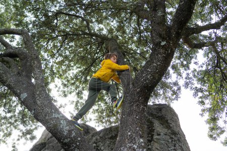 Junge klettert im Winter auf einen Baum