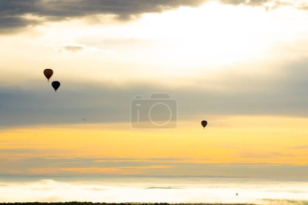 Landscape at sunrise with hot air balloons flying