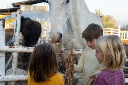 Enfants nourrissant un cheval dans une ferme scolaire