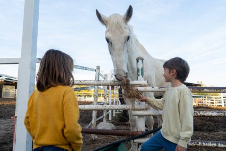 Children taking care of a mare at a school farm