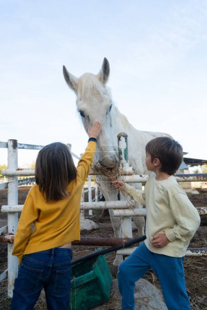 Two children at a farm school taking care of a horse