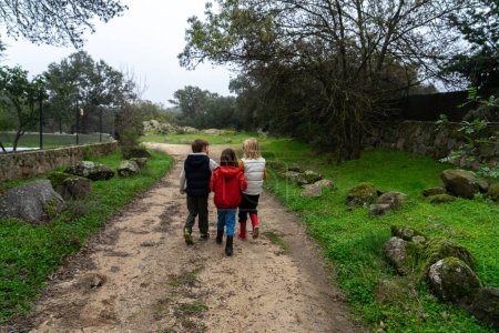 Téléchargez les photos : Trois enfants marchant dans le champ ensemble vus de derrière - en image libre de droit