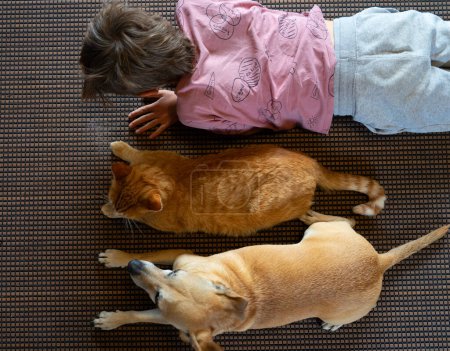 Junge, Katze und Hund auf dem Boden liegend von oben gesehen