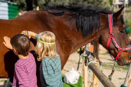 Téléchargez les photos : Deux enfants brossant la fourrure d'un cheval brun - en image libre de droit