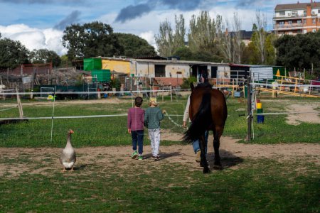Two children on a farm walking with a horse and a goose