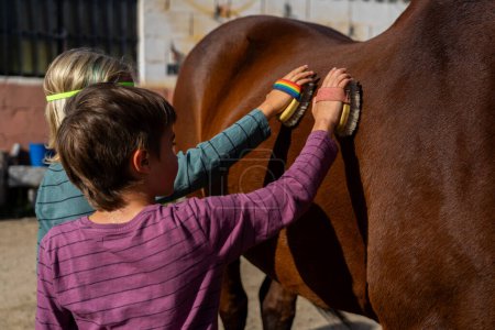 Children brushing a horse at a farm school
