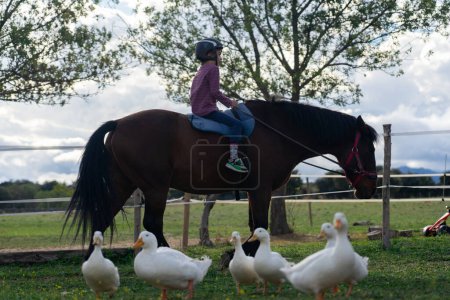 Junge auf einem Pferd, umgeben von Enten