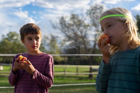 Kinder essen einen Apfel auf einem Bauernhof im Freien
