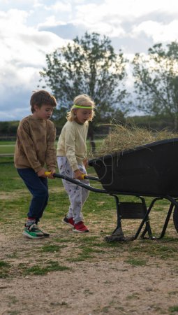 Two children on a farm carrying hay in a wheelbarrow