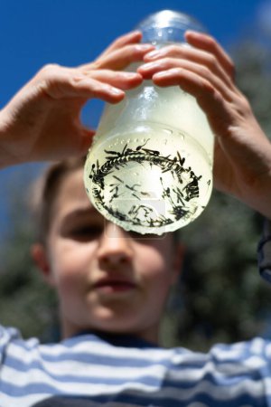 Boy showing a glass jar with tadpoles in spring