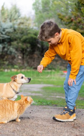 Boy giving a treat to his dog and cat