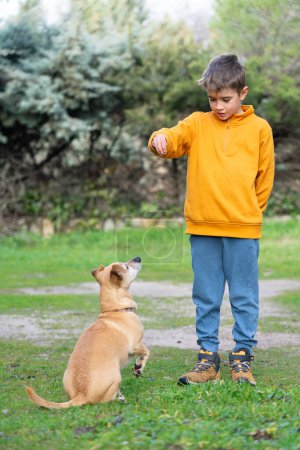 Foto de Chico entrenando a su perro con un perro tratar - Imagen libre de derechos