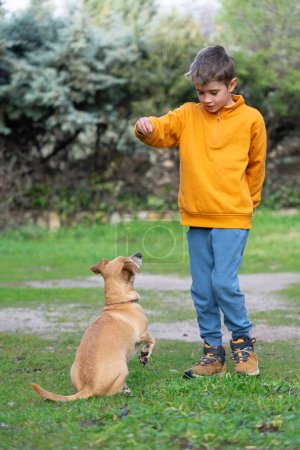 Junge erzieht seinen Hund, bringt ihm bei, mit einem Leckerli zu sitzen