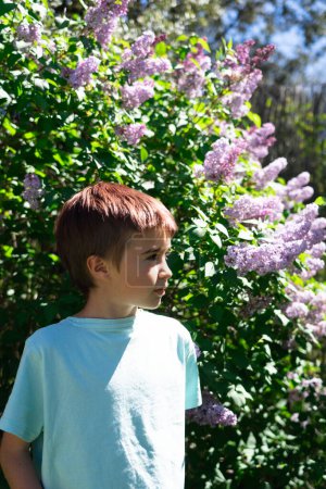 Caucasian child in a garden with lilac plants
