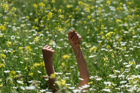 Kinderhände inmitten eines Gartens voller Frühlingsblumen. Frühlingshintergrund