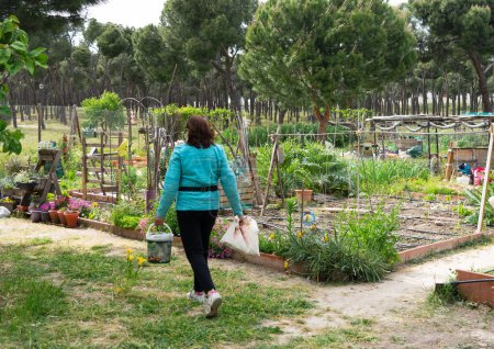 Mature woman working in an organic community garden