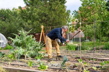 Hombre mayor caucásico trabajando en un jardín comunitario urbano