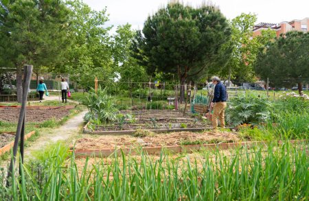 Urban neighborhood community garden with people working in it