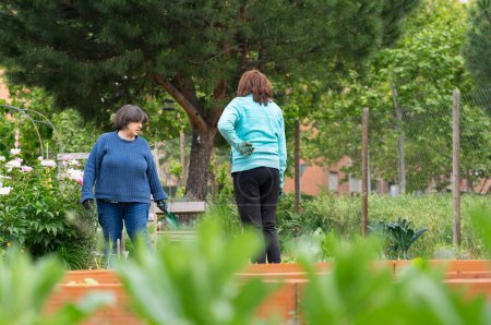 Dos mujeres trabajando juntas en un jardín orgánico comunitario