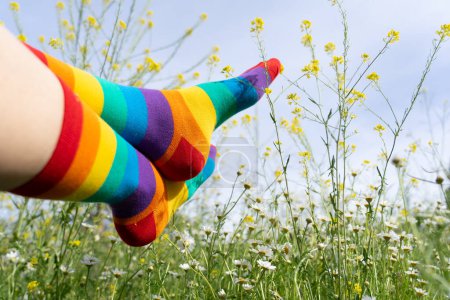Füße mit Regenbogensocken unter LGBT-Flagge in einem Blumenfeld