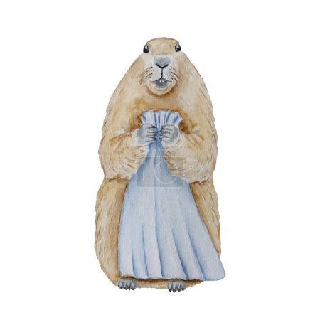 Téléchargez les photos : Marmotte. Marmotte aquarelle, Happy Groundhog Day, dessin à la main sur papier, fond blanc, pour texte, carte, affiche, invitation, design - en image libre de droit