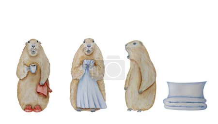 Téléchargez les photos : Marmotte. Marmotte aquarelle, réveillée, Joyeux Jour de la Marmotte, dessin à la main sur papier, fond blanc, pour texte, carte, affiche, invitation, design - en image libre de droit