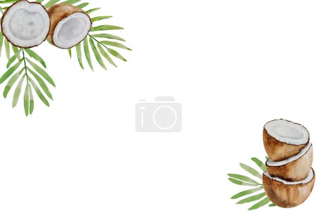 Téléchargez les photos : Cadre aquarelle en noix de coco. Moitiés et pièces de noix de coco, feuilles de palmier, peint à la main sur papier, fond blanc, pour le design, bannières, cadre, cosmétiques, carte postale, invitation - en image libre de droit