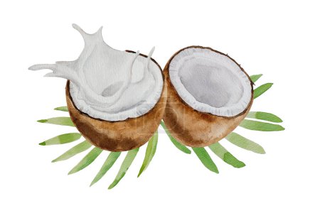 Photo for Watercolor coconut composition. Collages of coconuts, halves and parts, palm leaves, hand painted, white background, for design, banners, frame, cosmetics, postcard, invitation - Royalty Free Image