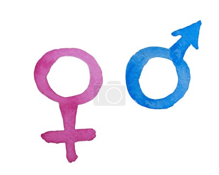 Aquarell männliches und weibliches Zeichen. Venus und Mars Symbol. Gender-Symbol. Rosa und blaue Ikone, handgemalt auf Papier, weißer Hintergrund. Für Design, Hintergründe